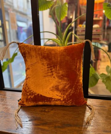 Coussin Udaipur 40cm X 40cm